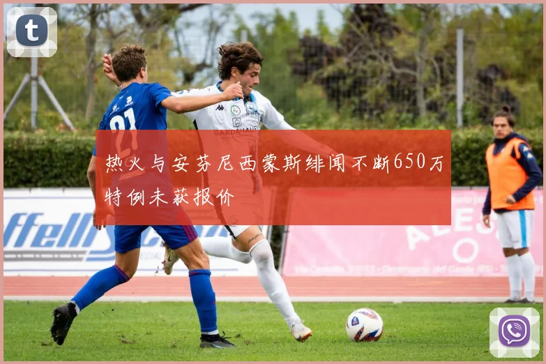 热火与安芬尼西蒙斯绯闻不断650万特例未获报价